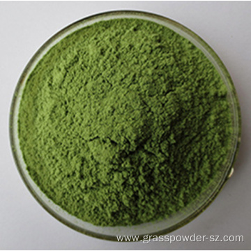 Organic Alfalfa Juice Green Powder